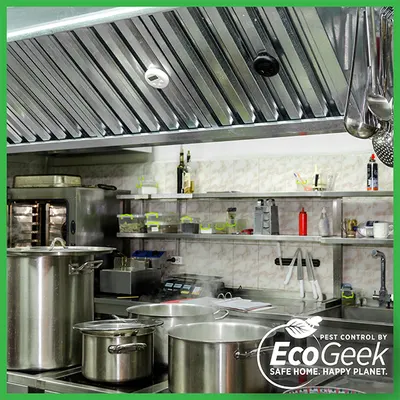 Commercial kitchen with stainless steel pots, shelves and an exhaust hood