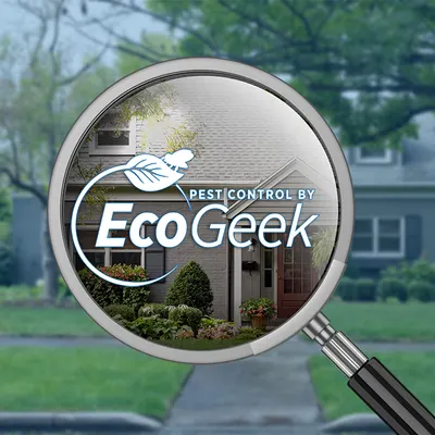 Magnifying glass held over a house, showing the EcoGeek logo