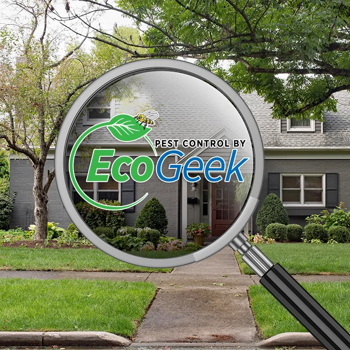 Eastham Pest Control Near Me