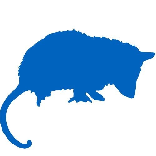 Opossum Icon