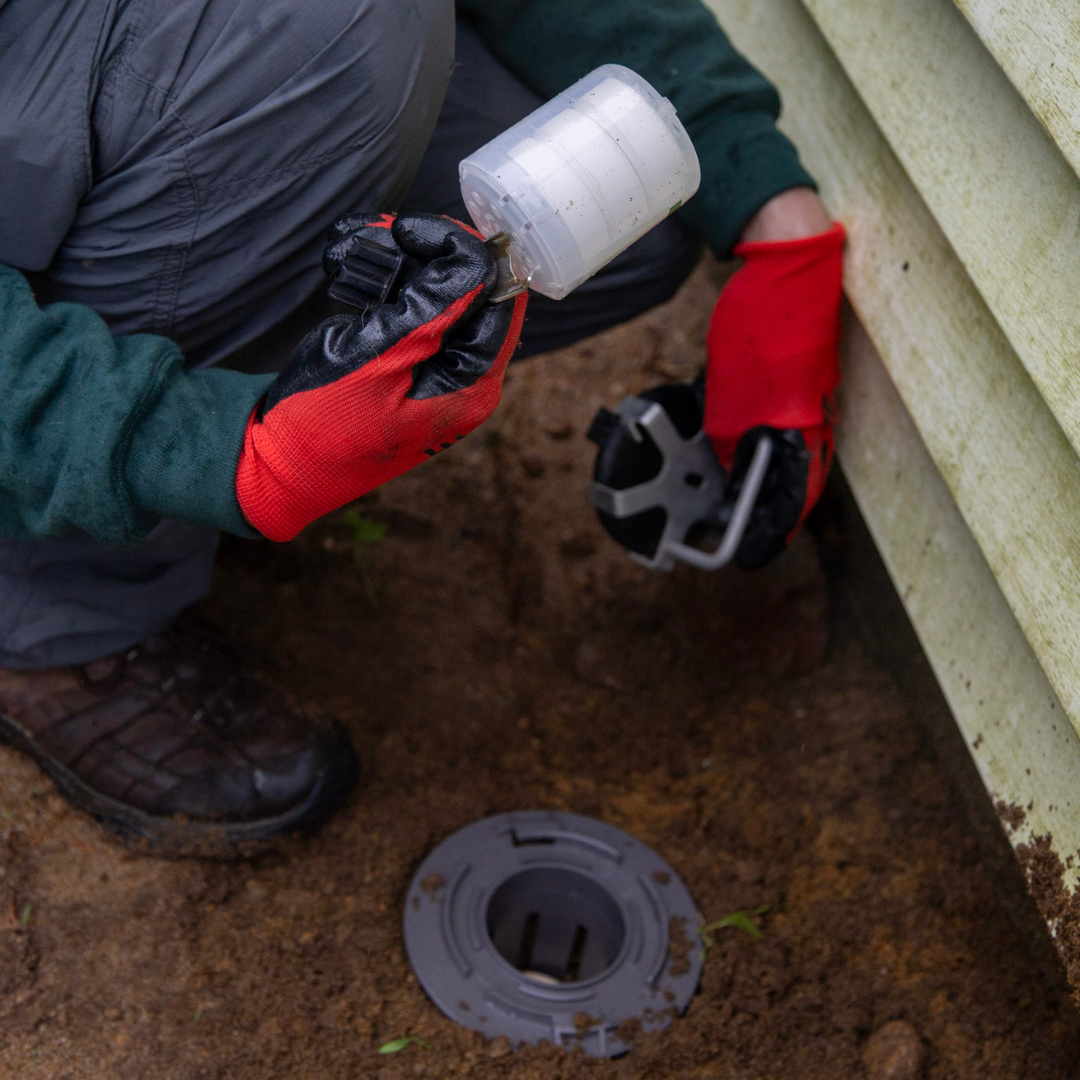 Termite Tech
