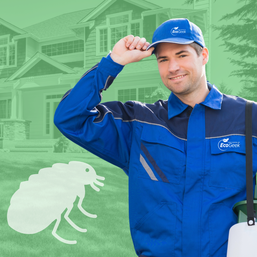Flea Control Tech