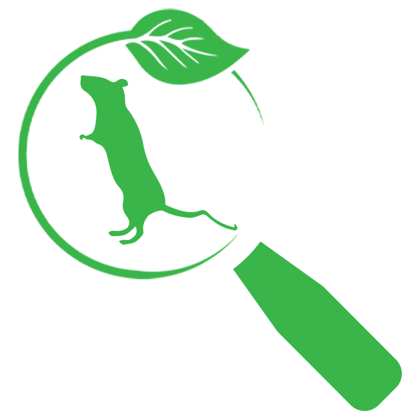 Cotuit Rat Control Inspection Near Me