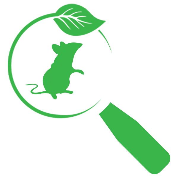 Barnstable Rat Control Inspection Near Me