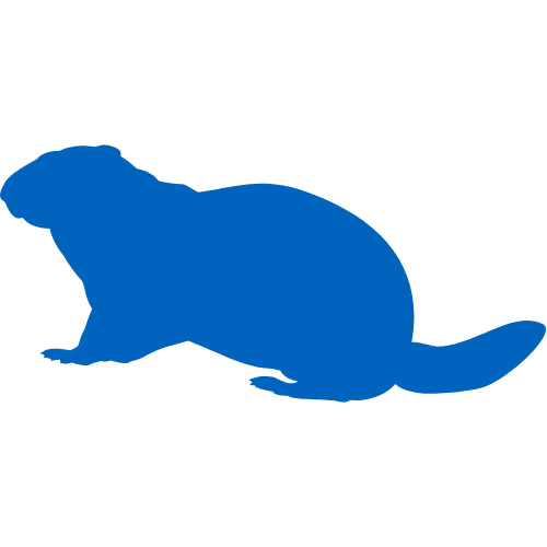 Groundhog Icon
