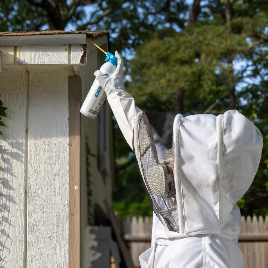 Wasp and Hornet Control Tech