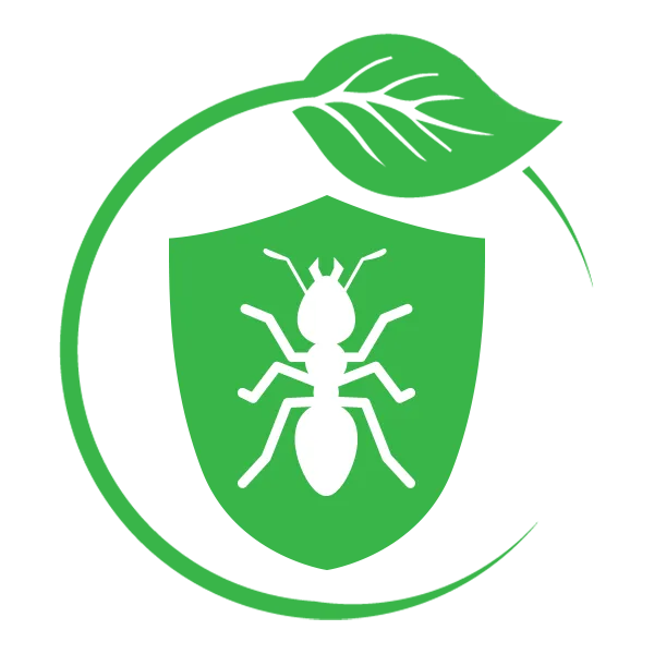 Wellfleet Ant Control Near Me
