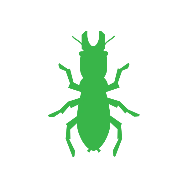 termite control cape cod ma icon