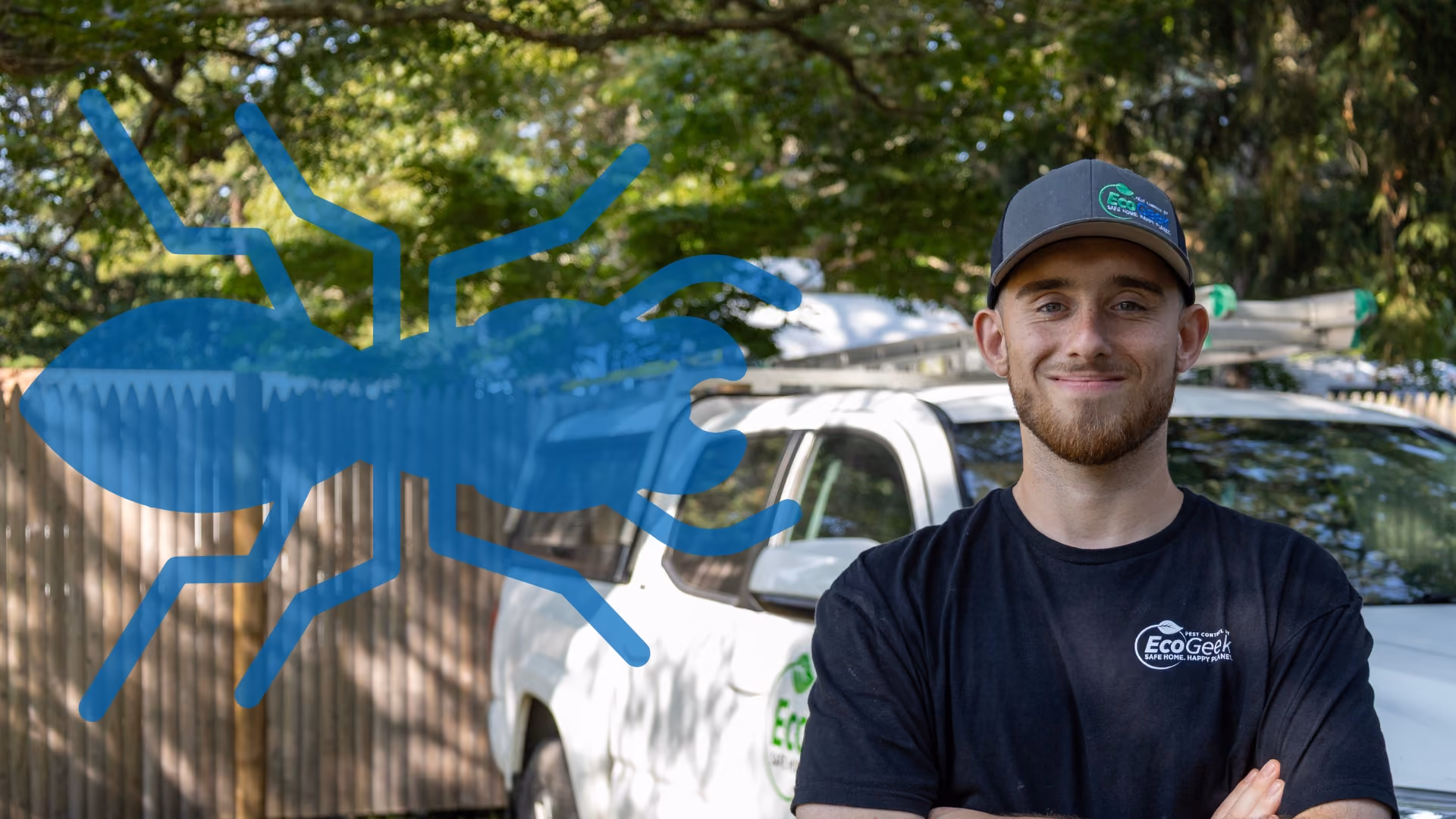 Termite Control inspections and Exterminator on Cape Cod