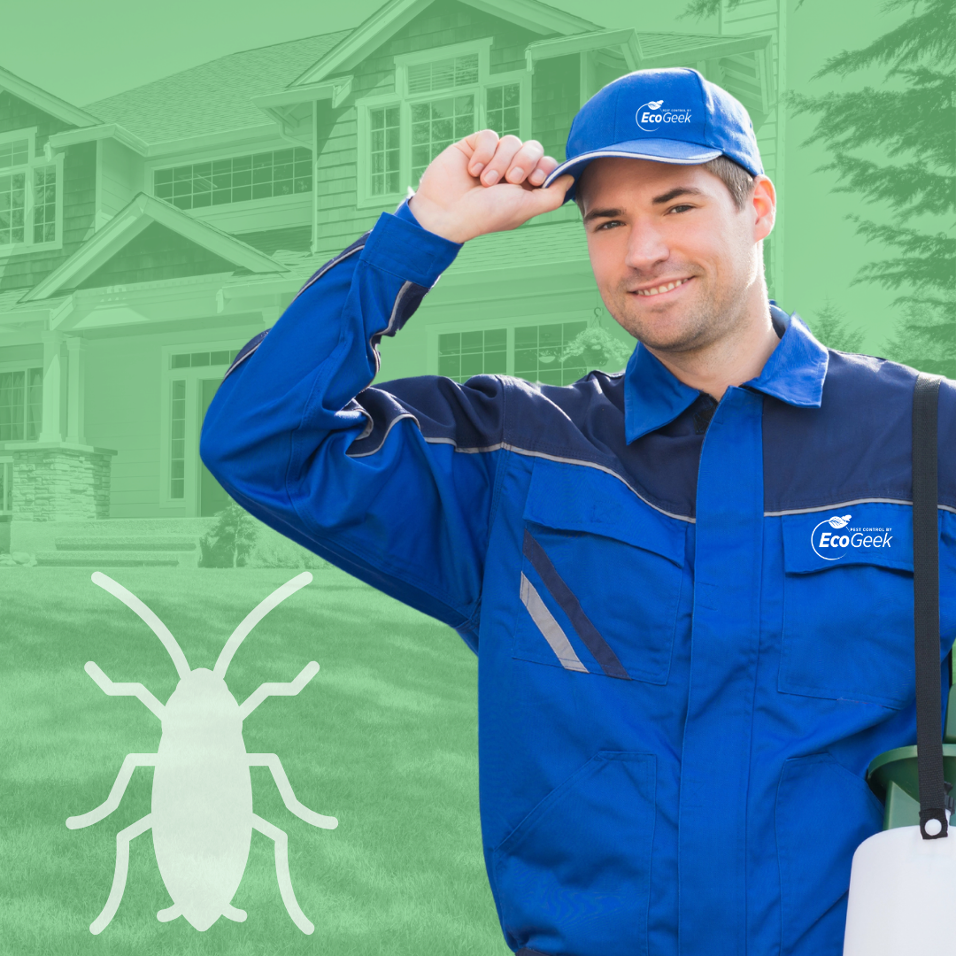 Cockroach Control Tech