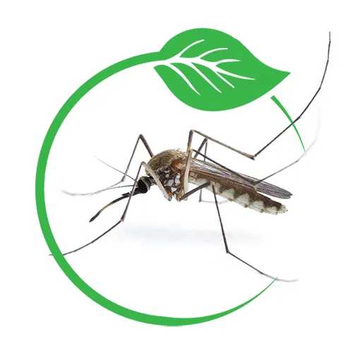 Barnstable mosquito control near me