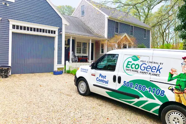 Dennis Town Pest Control Near Me